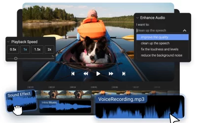 The Power of Voice: Using Audio Diaries to Enhance Your Family Video Projects